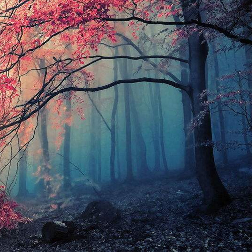 �ֳ�����һ