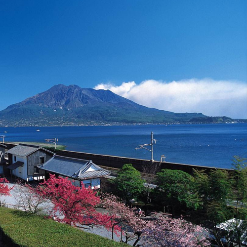 �ֳ�������